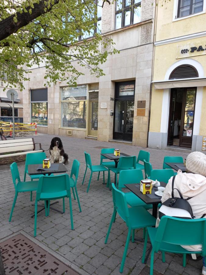 Aha Leilighet Debrecen Eksteriør bilde
